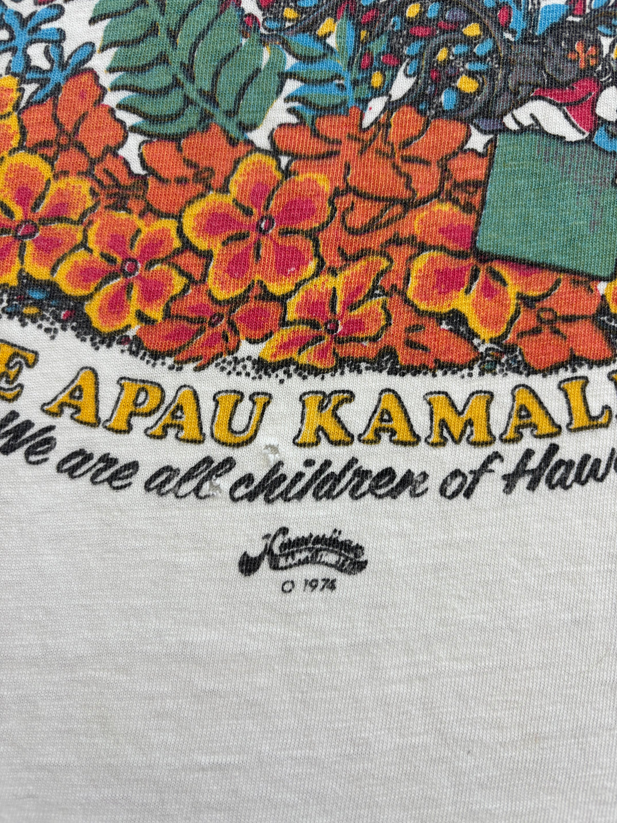 1974 Hawaii Art Tee Medium