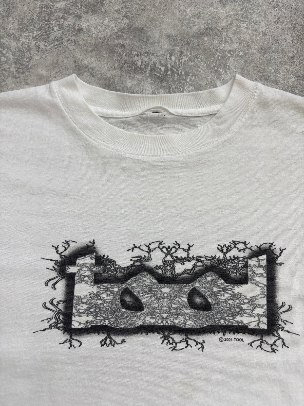 2001 Tool “Mirrored Anatomy” Band Tee Large